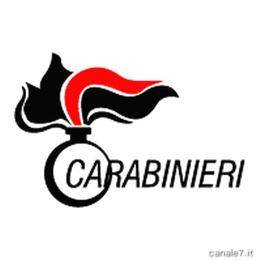 arma_dei_carabinieri-logo-_comp