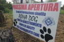 Arriva Alpha Dog; grande festa per gli amici a quattro zampe