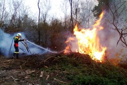 Allerta incendi boschivi, emessa ordinanza riguardante il periodo di massimo rischio